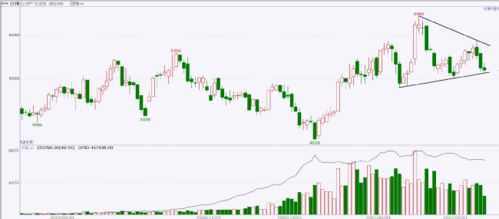 春節(jié)假期開市預(yù)測(cè)報(bào)告 農(nóng)畜產(chǎn)品板塊商品現(xiàn)貨銷售展望